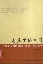 村庄里的中国 一个华北乡村的婚姻、家庭、生育与性