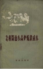 怎样降低小高炉炼铁成本