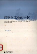 清季兵工业的兴起