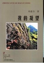 我的凝望