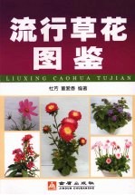 流行草花图鉴