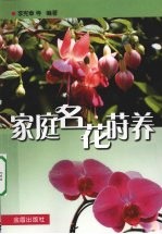 家庭名花莳养