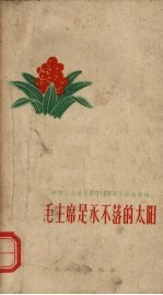 毛主席是永不落的太阳