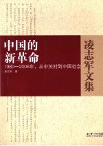 中国的新革命 1980-2006年，从中关村到中国社会