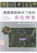 海南浆纸林林下植物彩色图鉴