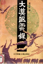 大漠风云录 下