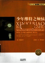少年维特之烦恼
