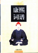 康熙词谱 下