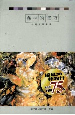 森林的彼方