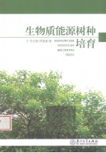 生物质能源树种培育