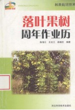 落叶果树周年作业历