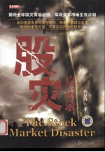 股灾启示录