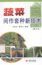 蔬菜间作套种新技术 南方本