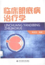 临床眼底病治疗学