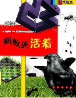 蚂蚁还活着