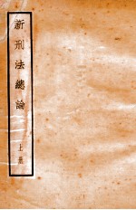 新刑法总论 上