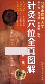 针灸穴位全真图解 第2版