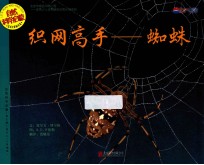 自然科学启蒙 织网高手 蜘蛛