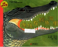 自然科学启蒙 谁住在鳄鱼洞里