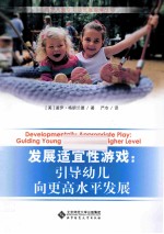 发展适宜性游戏:引导幼儿向更高水平发展