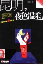 昆明,夜色温柔