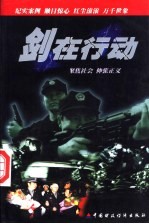 剑在行动 2