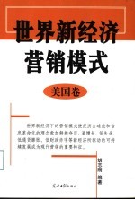 世界新经济营销模式 美国卷