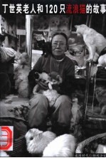 丁世英老人和120只流浪猫的故事