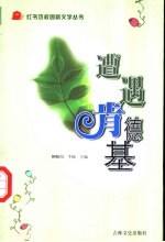 遭遇肯德鸡