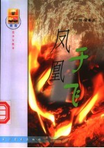 凤凰于飞