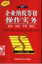 企业纳税筹划操作实务