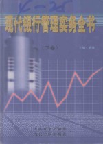 现代银行管理实务全书 下