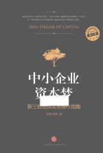 中小企业资本梦 新三板挂牌实务操作指南 第2版