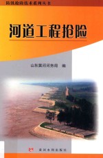 河道工程抢险