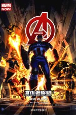 复仇者联盟 1 复仇者世界