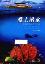 爱上潜水 发现最美的水下世界