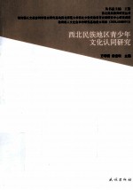 西北民族地区青少年文化认同研究