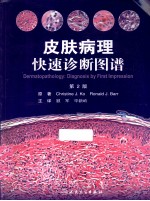 皮肤病理快速诊断图谱 翻译版