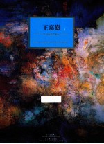 王嘉澍 今日新锐艺术家