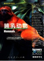 哺乳动物