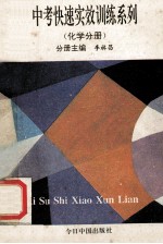 中考快速实效训练系列 化学分册