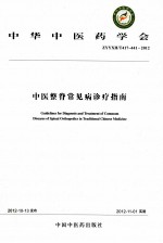 中医整脊常见病诊疗指南 2012