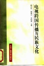 电视跨国传播与民族文化