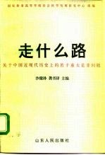 走什么路 关于中国近现代历史上的若干重大是非问题