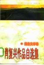 肖复兴作品自选集 报告文学卷
