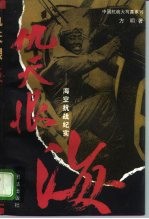 仇天恨海 海空抗战纪实
