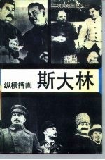 纵横捭阖-斯大林