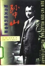 孙中山:勉为其难的革命家