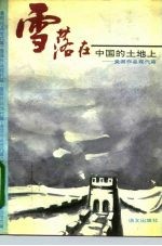 雪落在中国的土地上 爱国作品现代篇