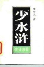 少水浒——水浒别传 上